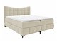 Kontinentalseng Littera (Freya 210.03)