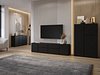 TV-benk Elbleve 100 (Svart)