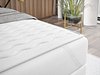 Kontinentalseng Comfivo Osculum I (Lambi 11)