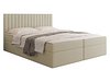 Kontinentalseng Comfivo Apis I (Polo 872)
