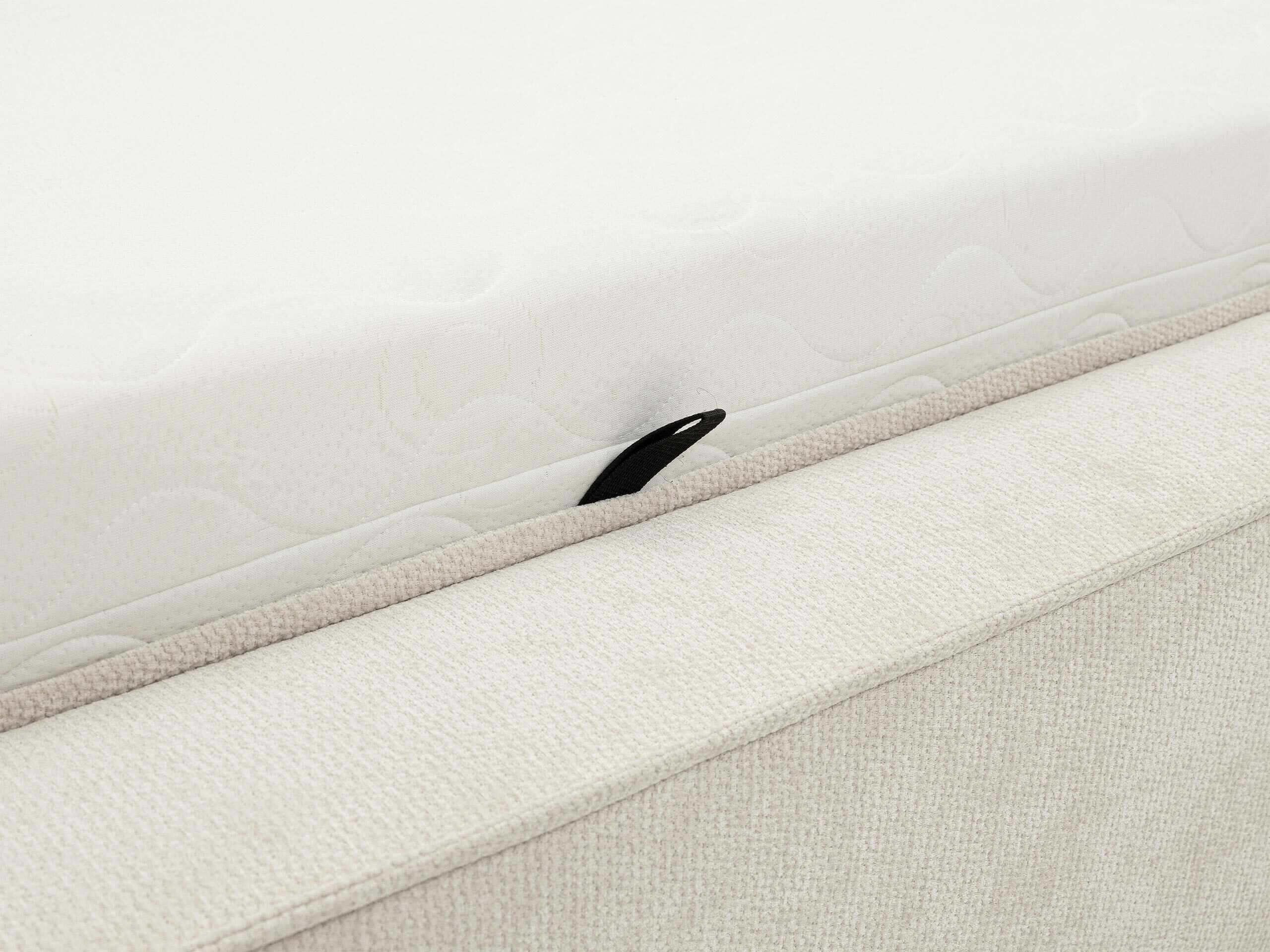 Seng TrendyNest Cedra (Lumo 65)
