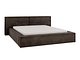 Seng TrendyNest Cedra (Lumo 40)
