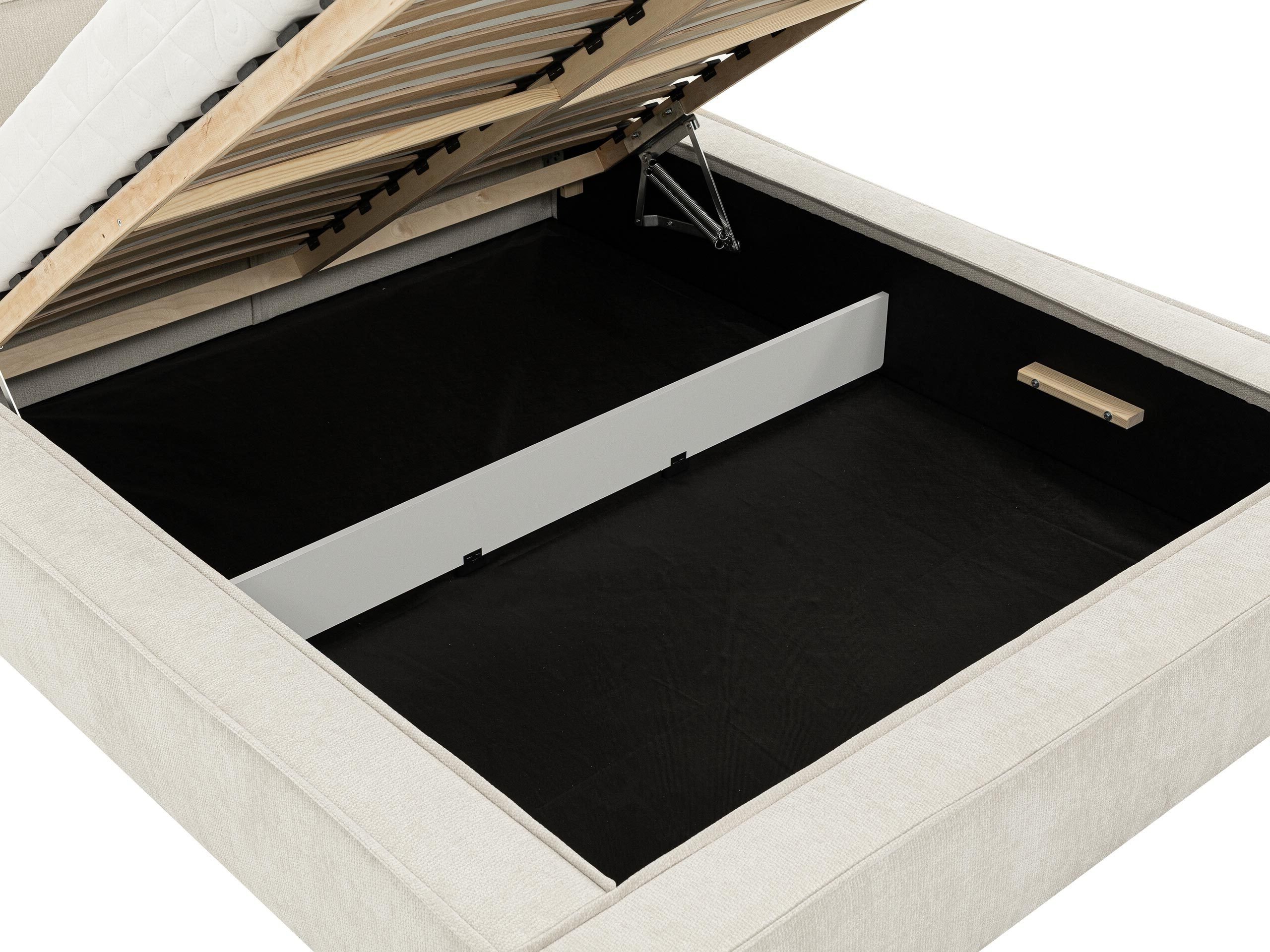 Seng TrendyNest Cedra (Lumo 75)
